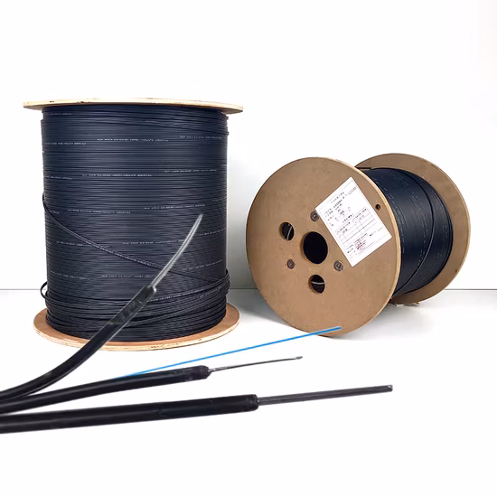 FTTH Bow-Type Fiber Optic Drop Cable G652D Sc-Sc Sm 9/125 Fiber Optic Patchcord